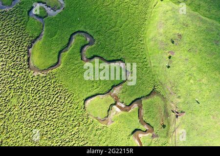 Yili, China. Juni 2021. Die Schönheit des Acar Flusses im Sommer in Yili, Xinjiang, China am 07. Juni 2021.(Foto: TPG/cnsphotos) Quelle: TopPhoto/Alamy Live News Stockfoto