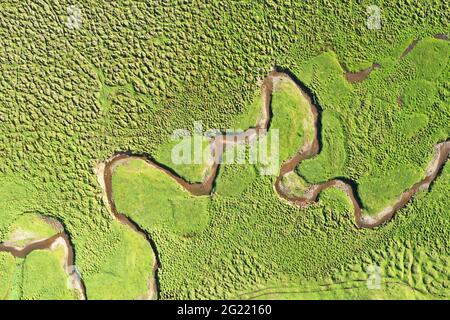 Yili, China. Juni 2021. Die Schönheit des Acar Flusses im Sommer in Yili, Xinjiang, China am 07. Juni 2021.(Foto: TPG/cnsphotos) Quelle: TopPhoto/Alamy Live News Stockfoto