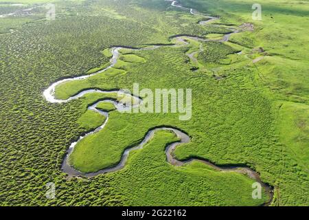 Yili, China. Juni 2021. Die Schönheit des Acar Flusses im Sommer in Yili, Xinjiang, China am 07. Juni 2021.(Foto: TPG/cnsphotos) Quelle: TopPhoto/Alamy Live News Stockfoto