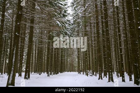 Landschaftlich schöner Blick auf eine Winterlandschaft Stockfoto