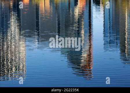 Spiegelung der Gebäude in der Innenstadt von Calgary in einem Teich im Prince's Island Park. Stockfoto