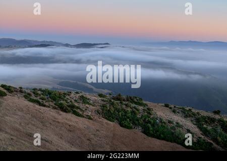 Nebel rollt über Salinas Valley über den Fremont Peak State Park, Monterey und San Benito Counties, Kalifornien, USA. Stockfoto
