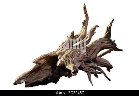 driftwood, Holzstapel, isoliert auf weißem Hintergrund Stockfoto