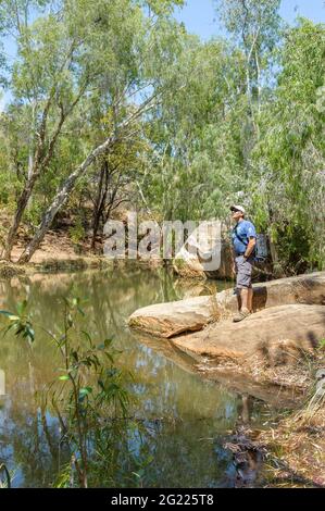 Ein alleinesker Wanderer, der die malerische Landschaft der Cobbold Creek Schlucht im Outback von Queensland, Australien, genießt. Stockfoto