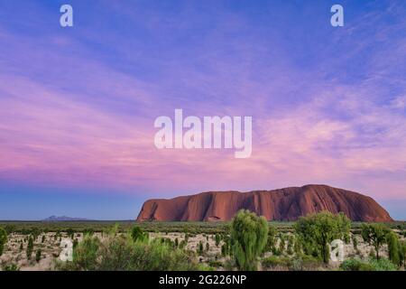 Spektakulärer Sonnenaufgang, Uluru und Kata Tjuta, umrahmt von einem lebhaften Sonnenaufganghimmel und üppiger, winterlicher Wüste, die sie Eichen und Wüstengräser. Stockfoto