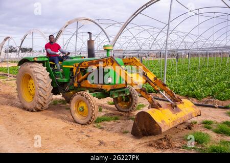 afroamerikanischer Mann, der an einem Gartentraktor arbeitet Stockfoto