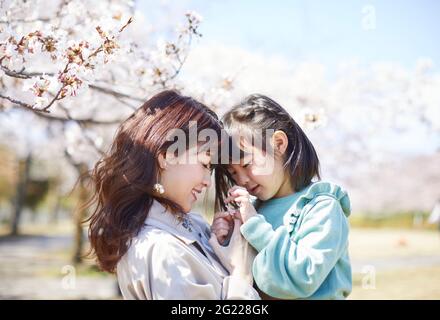 Japanisches Mädchen mit Mutter und Kirschblüten Stockfoto