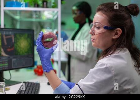 Biologe Forscher hält in den Händen veganes Rindfleisch Probe Analyse genetisch veränderten vegetarischen Lebensmitteln. Wissenschaftler, die im Labor für Biochemie arbeiten und biologische medizinische Expertise erforschen. Stockfoto