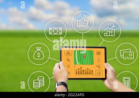 Ein kurzer Farmer, der auf dem Feld steht und ein digitales Tablet verwendet Stockfoto