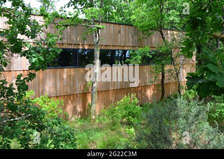 FRANKREICH. NOUVELLE-AQUITAINE. GIRONDE (33). MARTILLAC. DER VERBORGENE KELLER VON CHATEAU SMITH HAUT-LAFITTE, VERSTECKT IM WALD. ES IST DAS ERSTE, DAS ES IST Stockfoto