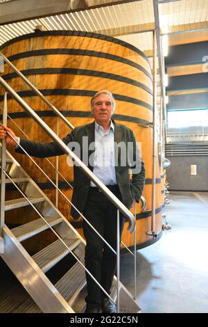 FRANKREICH. NOUVELLE-AQUITAINE. GIRONDE (33). MARTILLAC. DANIEL CATHIARD IN SEINEM VERBORGENEN KELLER VON CHATEAU SMITH HAUT-LAFITTE VERSTECKT IM WALD. Stockfoto