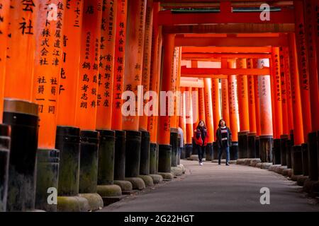 Kyoto, Japan - 21. November 2018: Junge asiatische Frauen gehen auf Gehwegen, die von roten Toren umgeben sind, geschrieben von japanischer Sprache in Fushimi Inari Stockfoto