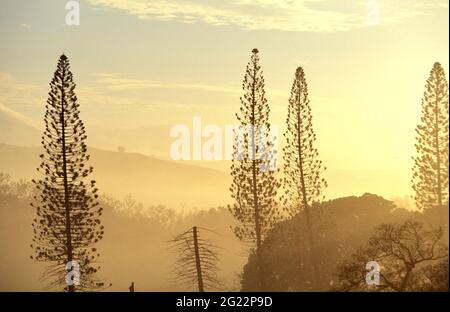 NEUKALEDONIEN. GROSSE INSEL. REGION BOURAIL Stockfoto