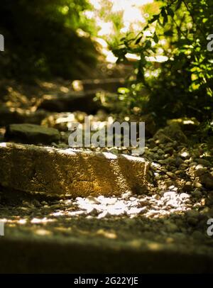 Lichtstrahl auf Steintreppe auf dem Weg im Wald zur Spitze des Berges Stockfoto