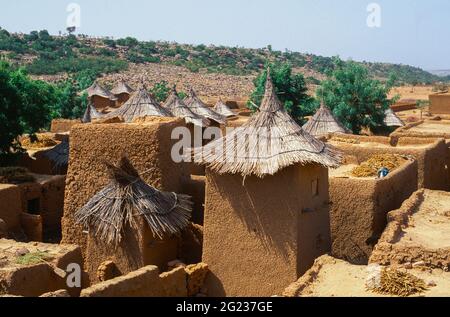 Traditionelle reetgedeckte Dogon-Kornspeicher und Häuser, mit Hirsetrocknung auf den flachen Dächern. Kani-Kombole Village, Mopti Region, Mali, Westafrika Stockfoto