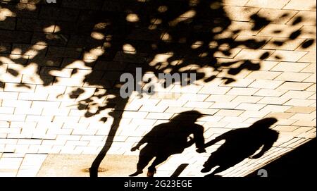 Verschwommene Schattensilhouette von zwei Menschen, die an einem sonnigen Tag unter einem Baum auf einem Bürgersteig auf einer Stadtstraße zusammenlaufen und die Hände halten Stockfoto