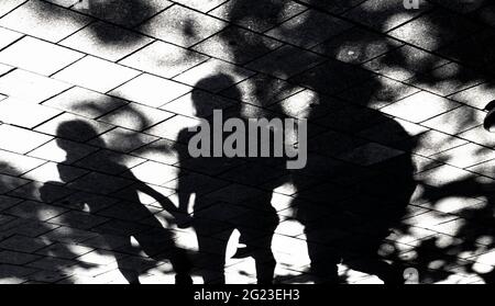 Verschwommene Schattensilhouette von Menschen, die an einem sonnigen Tag unter einem Baum im Park gehen, Hände halten Stockfoto
