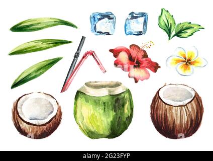 Tropisches, frisches Kokosnusscocktail mit Trinkhalmen, Minze, Plumeria, Hibiskusblüte, Eiswürfeln und grünen Blättern. Aquarell handgezeichnete Illustration isol Stockfoto