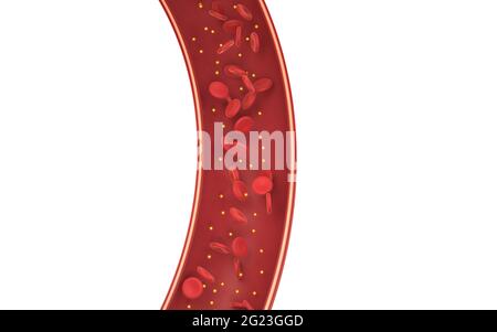 Rote Blutkörperchen im Blutgefäß, 3d-Rendering. Digitale Zeichnung des Computers. Stockfoto