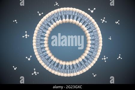 Zellmembran und Moleküle, 3d-Rendering. Digitale Zeichnung des Computers. Stockfoto