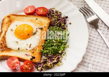 Sandwich mit Rührei, Tomaten, Rucola-Sprossen und Radieschen, Micro-Greens gesunde Lebensmittel Stockfoto