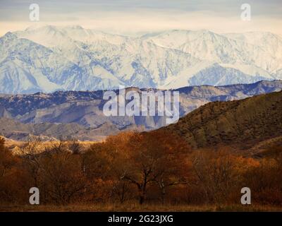 Landschaften der georgischen Wüste, Chachuna verwaltet Reserve Stockfoto