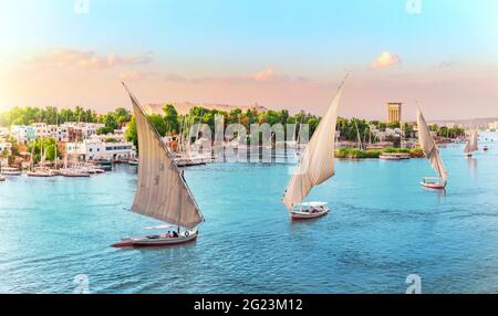 Assuan, Nillandschaft mit berühmten Segelbooten, Egypta Stockfoto
