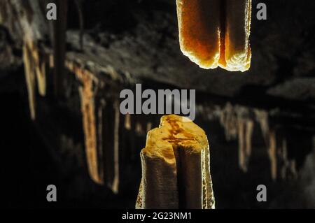 Details von Stalaktiten in den Jenolan Caves, in der Nähe von Sydney, Australien Stockfoto