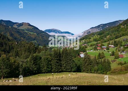 Das „Vallee d'Abondance“-Tal im Département Haute Savoie (Oberes Savoyen, Zentralfrankreich) Stockfoto