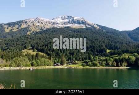 Das Tal „Vallee d'Abondance“ im Departement Haute Savoie (Oberes Savoyen, Zentralfrankreich). Lac des Plagnes Stockfoto