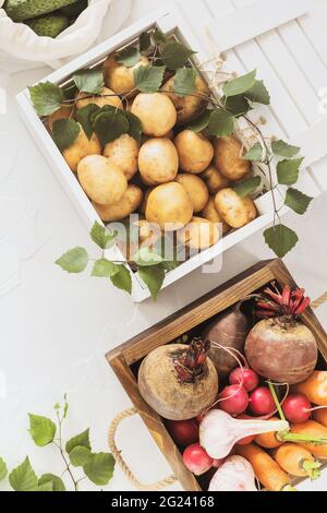 Natürliches Bauerngemüse in Holzkisten auf weißem Hintergrund. Umweltfreundliche Verpackung und Lagerung von Obst und Gemüse. Verkauf von saisonalem Gemüse Stockfoto