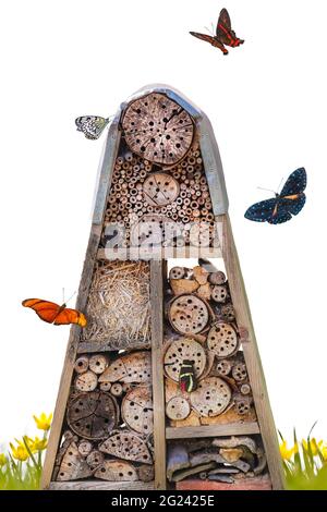 Insektenhotel mit fliegenden Schmetterlingen, isoliert auf weißem Hintergrund Stockfoto
