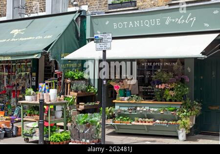 Botanique Workshop Florist mit Pflanzen in Töpfen zum Verkauf außerhalb Exmouth Market in Clerkenwell Borough of Islington London EC1 England UK KATHY DEWITT Stockfoto