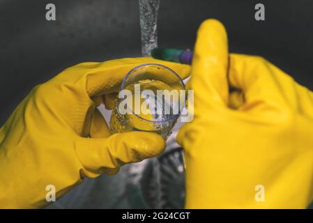 Laborforschung. Wissenschaftler führen Tests und Experimente durch. Reagenzglas, Wasser und gelbe Gummihandschuhe. Der Arbeitsprozess. Stockfoto