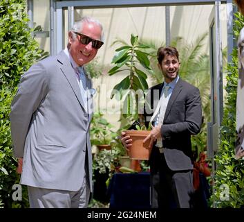 Der Prinz von Wales (links), Patron des Botanischen Gartens von Oxford, wurde von Chris Thorogood, dem stellvertretenden Direktor und Leiter der Wissenschaft im Botanischen Garten von Oxford, während eines Besuchs zum 400. Jahrestag einer Ameisenpflanze aus Papua-Neuguinea gezeigt. Bilddatum: Dienstag, 8. Juni 2021. Stockfoto