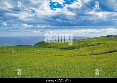 Blick auf die Küste von der Spitze des Graslandbergs in Dunedin, Otago Peninsula, Südinsel Neuseeland Stockfoto