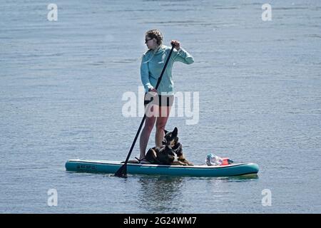 Bei warmem Sommerwetter fahren Paddlebarder, Kajakfahrer, Rafter und Schwimmer zum Deschutes River im Old Mill Abschnitt von Bend, Oregon, um sich abzukühlen Stockfoto