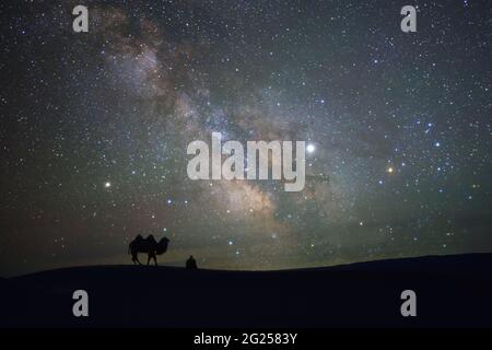 Silhouette eines Mannes und seines Kamels in der Wüste unter der Milchstraße, Mongolei Stockfoto