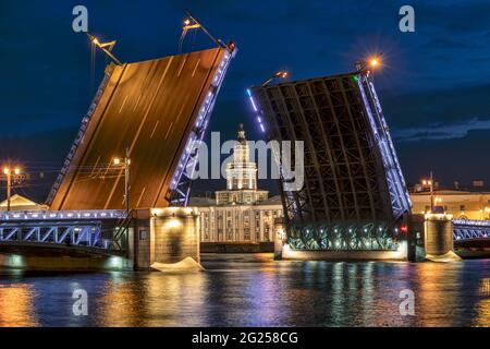 Geschiedene Palastbrücke bei Nacht in St. Petersburg, Blick auf die Kunstkamera. Stockfoto