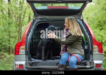 Reife Frau, Die Mit Schwarzem Labrador In Der Rückseite Des Autos Sitzt, Bevor Sie Auf Spaziergang In Der Landschaft Geht Stockfoto