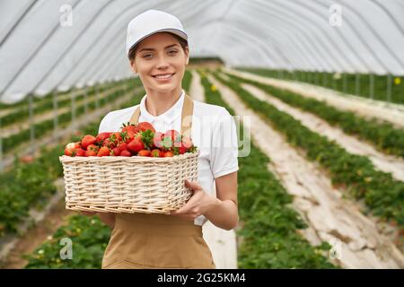 Glückliche Gärtnerin in Schürze und Mütze, die bei der Erdbeerplantage steht und einen Weidenkorb mit frischen roten Beeren hält. Konzept der Landwirtschaft. Stockfoto