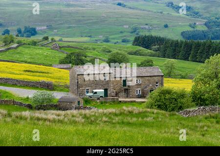 Landschaftlich reizvolle Landschaft von Swaledale (Tal, Hügel, abgelegenes Bauernhaus, Steinhäuser, Trockenmauern, Grüne Weide) - Yorkshire Dales, England Großbritannien Stockfoto