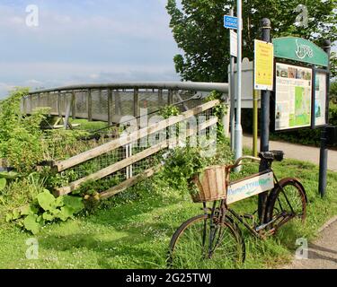 Parrett-Radweg bei Langport, Somerset Stockfoto