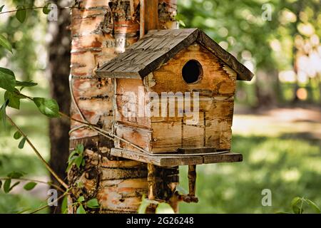 Selektives Fokusfoto eines gemütlichen Vogelhauses auf einem Baum vor dem Hintergrund einer sommerlichen Waldlandschaft Stockfoto
