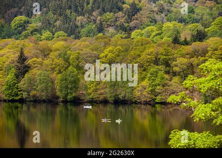 Wunderschöne Aussicht auf den Fluss Tummel (Loch Faskally) vom Fonab Castle, Pitlochry Stockfoto