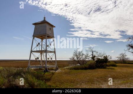 Nahaufnahme des Leuchtturms an einem schönen sonnigen Tag in der Nähe des Leuchtturms auf Sapelo Island, Georgia, USA. Stockfoto