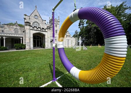 Tarrytown, USA. Juni 2021. Ein Blick auf den Hindernisparcours, der vor dem Lyndhurst Mansion während des Preview-Tages für die 145. Jährliche Westminster Kennel Club Dog Show im Lyndhurst Estate in Tarrytown, NY, am 8. Juni 2021 eingerichtet wurde. Aufgrund der COVID-19-Pandemie wurde der Veranstaltungsort der WKC Dog Show vom Madison Square Garden zum Lyndhurst Estate in Westchester County außerhalb von New York City verlegt. (Foto von Anthony Behar/Sipa USA) Quelle: SIPA USA/Alamy Live News Stockfoto