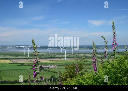 Blick auf den Sandsteinkamm des Helsby Hügels, der den Fluss Mersey, den Grat-Narbenhang und die umgebende Ebenheit der Cheshire-Ebene mit sich bringt. Stockfoto