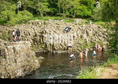 Teesdale England 8. Juni 2021 Junge Menschen, die im Fluss baden Tees in der Nähe von Low Force bei warmem Sommerwetter. Stockfoto