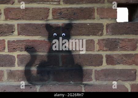 Wokingham, Großbritannien. Juni 2021. Eine schwarze Katzenschablone mit aufklebenden Augen von einem Straßenkünstler, der von anerkennenden Anwohnern als „Catsy“ bezeichnet wird. Es wird angenommen, dass etwa 30-40 solcher schwarzen Katzenschablonen vom anonymen Straßenkünstler durch die Stadt gesprüht werden. Kredit: Mark Kerrison/Alamy Live Nachrichten Stockfoto